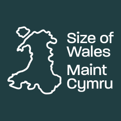 Size of Wales logo